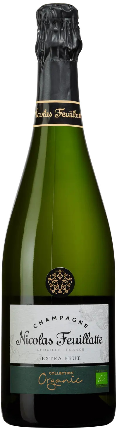 Bottle Shot