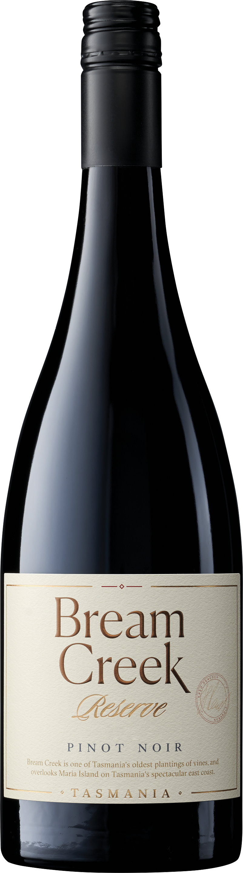 Bottle Shot