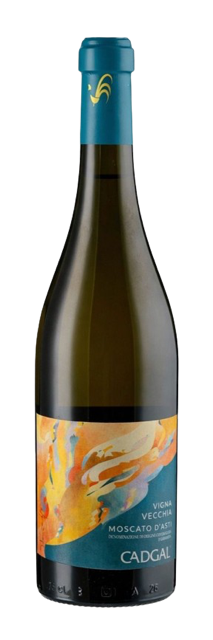 Bottle Shot