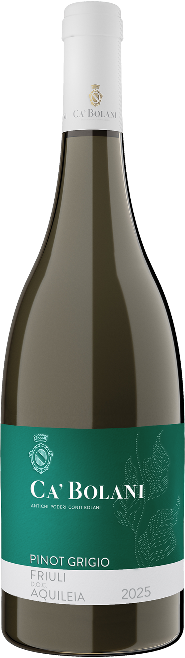 Bottle Shot